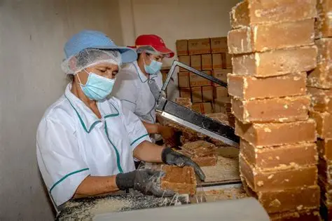 Empresa 1